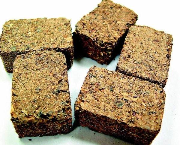 神麴減肥真的有效嗎？完整解析原理、方法與注意事項