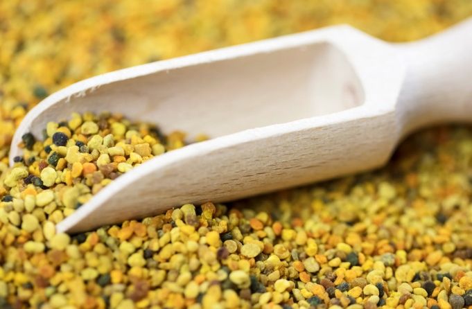 花粉種類完全指南：認識台灣常見花粉與過敏防治秘訣