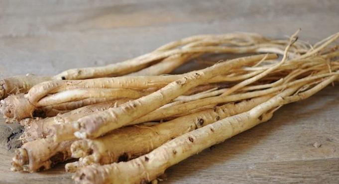 桔梗中藥功效全解析：潤肺化痰、清熱解毒的天然良藥