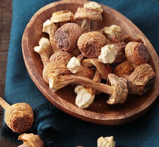 巴西蘑菇禁忌：安全使用指南與常見問題解析