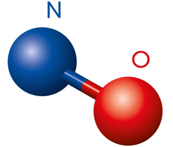 一氧化氮副作用