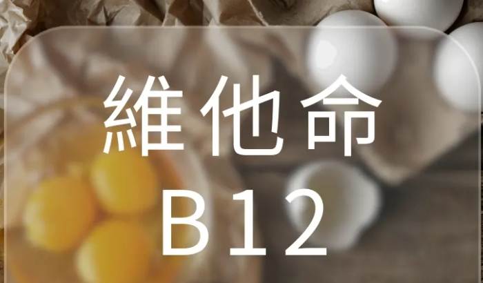 b12功效