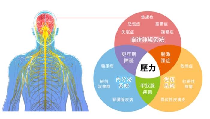 自律神經失調中醫