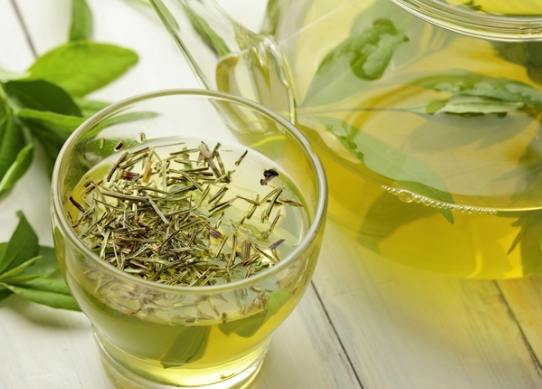 儿茶素食物全攻略：抗氧化巨星與日常飲食指南