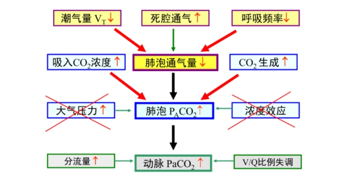 高碳酸血症呼吸衰竭