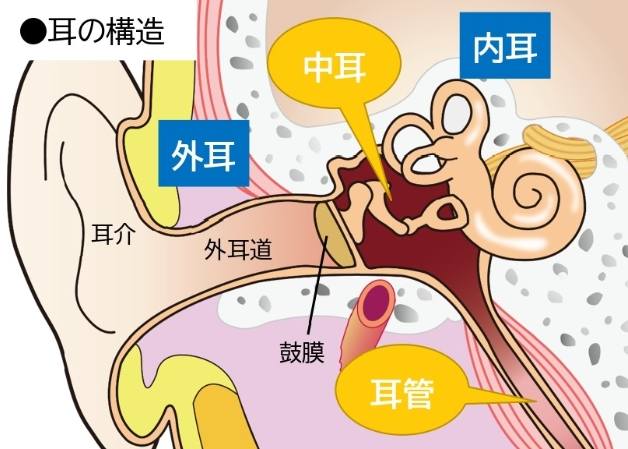 中耳炎原因大人