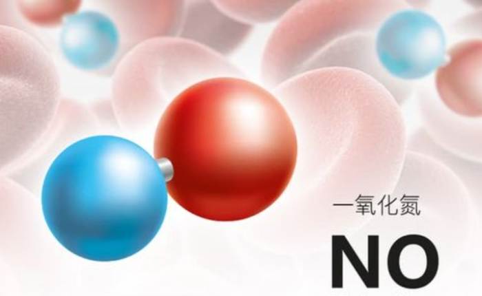一氧化氮保健食品全攻略：功效、選擇技巧與常見問題深度解析