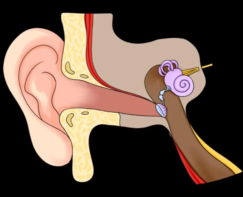 中耳炎自我治療