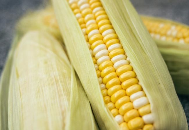 粟米營養價值全解析：從膳食纖維到抗氧化成分的完整指南