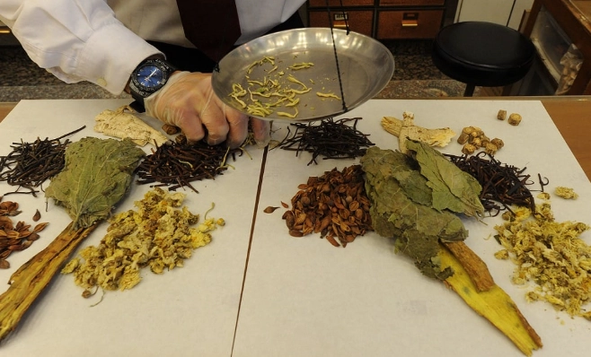 補中益氣湯感冒：中醫調理感冒的天然良方與完整指南