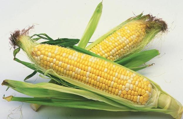 甜玉米營養價值全解析：從熱量到健康益處的完整指南