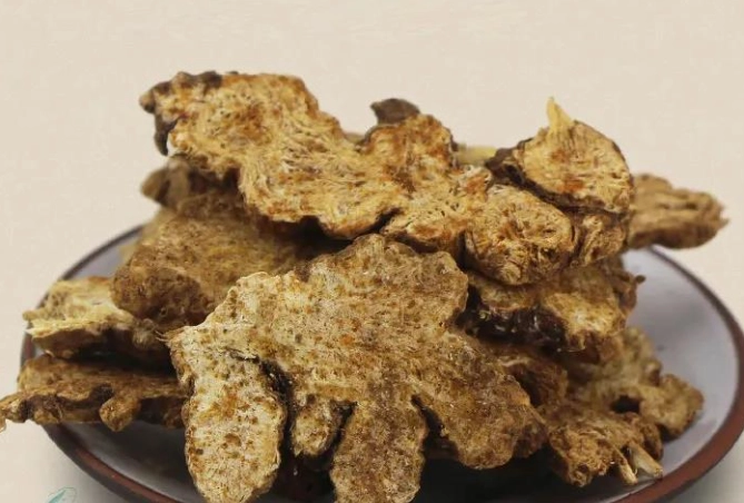 蒼朮皮膚護理全攻略：中藥養膚的自然療法與實用技巧