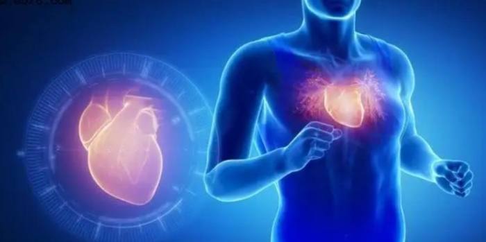 心包油症狀全攻略：症狀、原因、診斷與治療一次看懂