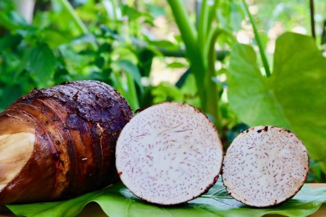 每天吃芋頭好處與壞處完整解析：從營養價值到實用食譜