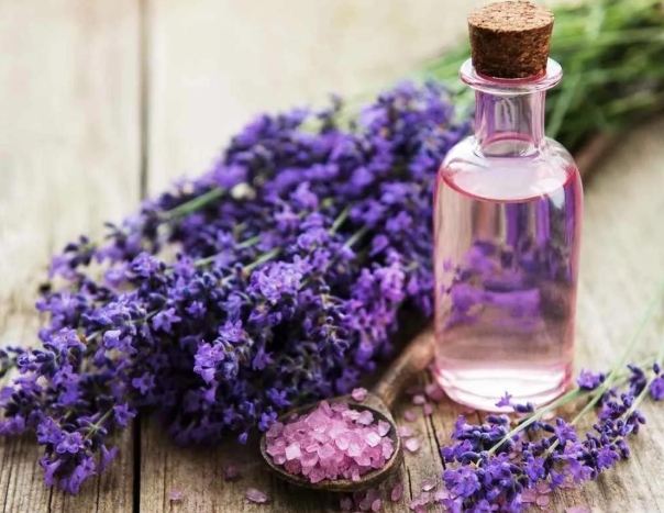 薰衣草精油功效